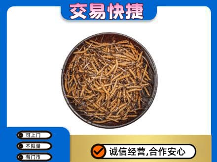 日喀则岗巴县回收散虫草